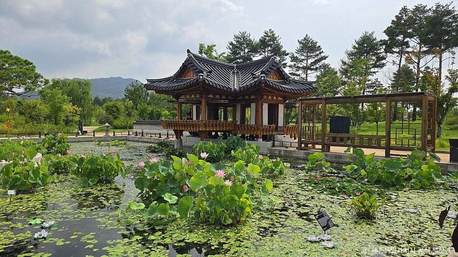 국립세종수목원, 사진출처 : 세종특별자치시 공식 블로그